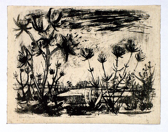 Artist: b'Grieve, Robert.' | Title: b'Swamp landscape' | Date: 1957 | Technique: b'lithograph, printed in black ink, from one stone' Artist: b'Grieve, Robert.' | Title: b'Swamp landscape' | Date: 1957 | Technique: b'lithograph, printed in black ink, from one stone'