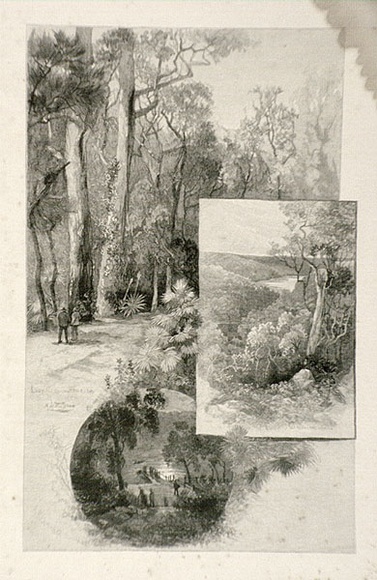 Artist: b'FULLWOOD, A.H.' | Title: b'Lady Carrington Road; Sea reach Port Hacking; Freshwater Beach.' | Date: 1886-88 | Technique: b'wood-engraving, printed in black ink, from one block' Artist: b'FULLWOOD, A.H.' | Title: b'Lady Carrington Road; Sea reach Port Hacking; Freshwater Beach.' | Date: 1886-88 | Technique: b'wood-engraving, printed in black ink, from one block'