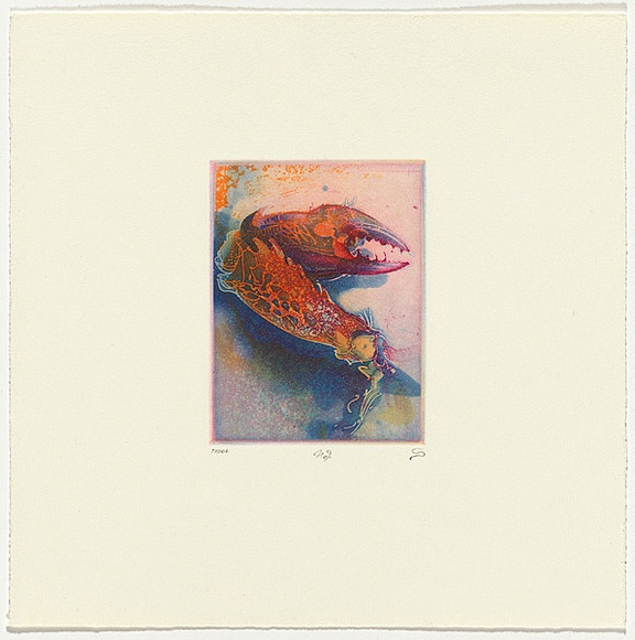 Artist: b'SCHMEISSER, Jorg' | Title: b'Colour etching' | Date: 1984 | Technique: b'etching and aquatint, printed in colour, from three plates' | Copyright: b'\xc2\xa9 J\xc3\xb6rg Schmeisser' Artist: b'SCHMEISSER, Jorg' | Title: b'Colour etching' | Date: 1984 | Technique: b'etching and aquatint, printed in colour, from three plates' | Copyright: b'\xc2\xa9 J\xc3\xb6rg Schmeisser'