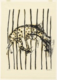 Artist: b'Whiteley, Brett.' | Title: b'Hyena' | Date: 1965 | Technique: b'screenprint, printed in colour, from two stencils' | Copyright: b'This work appears on the screen courtesy of the estate of Brett Whiteley'