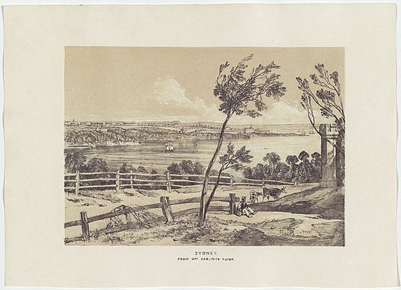 Artist: PROUT, John Skinner | Title: Sydney, from Mrs Darling's Point. | Date: 1842 | Technique: lithograph, printed in colour, from two stones (black and brown tint stone)