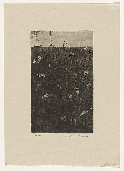 Artist: b'WILLIAMS, Fred' | Title: b'Upwey landscape number 4' | Date: (1965-66) | Technique: b'ething, engraving, mezzotint and flat biting, printed in black ink, from one copper plate' | Copyright: b'\xc2\xa9 Fred Williams Estate' Artist: b'WILLIAMS, Fred' | Title: b'Upwey landscape number 4' | Date: (1965-66) | Technique: b'ething, engraving, mezzotint and flat biting, printed in black ink, from one copper plate' | Copyright: b'\xc2\xa9 Fred Williams Estate'