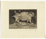 Artist: b'SELLBACH, Udo' | Title: b'not titled' | Date: 1960-80 | Technique: b'etching'