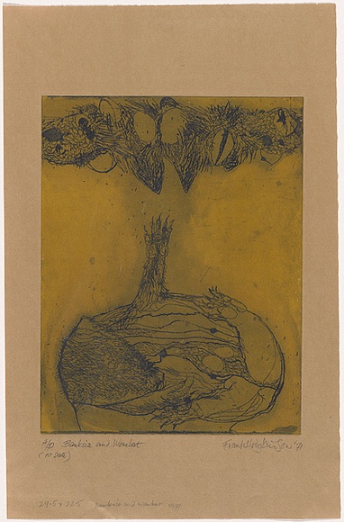 Artist: b'Hodgkinson, Frank.' | Title: b'Banksia and wombat' | Date: 1971 | Technique: b'hardground-etching and aquatint, printed in black and yellow ink, from one plate' Artist: b'Hodgkinson, Frank.' | Title: b'Banksia and wombat' | Date: 1971 | Technique: b'hardground-etching and aquatint, printed in black and yellow ink, from one plate'