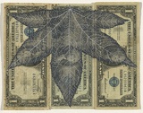 Artist: HALL, Fiona | Title: Liquidambar styraciflua - Sweetgum (American currency) | Date: 2000 - 2002 | Technique: gouache | Copyright: © Fiona Hall