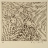 Artist: Nuggett, Amy. | Title: Jumu | Date: 1994, October - November | Technique: etching, printed in black ink, from one plate