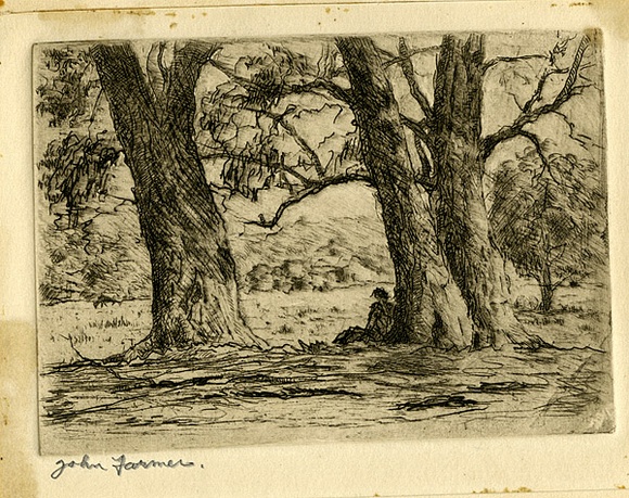 Artist: b'Farmer, John.' | Title: b'Old gums.' | Date: 1950 | Technique: b'etching, printed in black/brown ink with plate-tone, from one plate' Artist: b'Farmer, John.' | Title: b'Old gums.' | Date: 1950 | Technique: b'etching, printed in black/brown ink with plate-tone, from one plate'