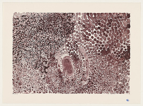 Artist: b'Yukenbarri, Lucy.' | Title: b'Winpulpula rockhole' | Date: 2001, September - October | Technique: b'lithograph, printed in red madder ink, from one stone' Artist: b'Yukenbarri, Lucy.' | Title: b'Winpulpula rockhole' | Date: 2001, September - October | Technique: b'lithograph, printed in red madder ink, from one stone'