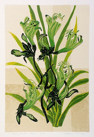 Artist: b'letcher, William.' | Title: b'Kangaroo paw.' | Date: 1979 | Technique: b'screenprint, printed in colour, from multiple stencils' | Copyright: b'With the permission of The William Fletcher Trust which provides assistance to young artists.' Artist: b'letcher, William.' | Title: b'Kangaroo paw.' | Date: 1979 | Technique: b'screenprint, printed in colour, from multiple stencils' | Copyright: b'With the permission of The William Fletcher Trust which provides assistance to young artists.'