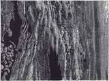 Artist: b'Payne, Patsy.' | Title: b'Sky' | Date: 1996 | Technique: b'linocut, printed in black ink, from one block'