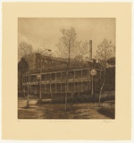 Artist: GRIFFITH, Pamela | Title: The restored Mint | Date: 1982 | Technique: hard ground, aquatint, spray resist, burnishing, on one zinc | Copyright: © Pamela Griffith