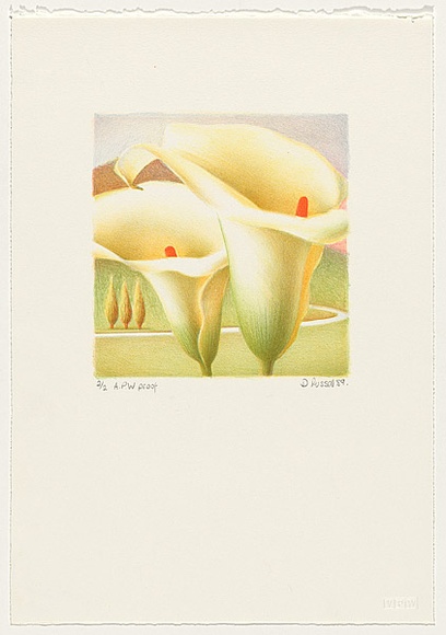 Artist: b'Russell,, Deborah.' | Title: b'Lily II' | Date: 1989 | Technique: b'lithograph, printed in colour from multiple stones' Artist: b'Russell,, Deborah.' | Title: b'Lily II' | Date: 1989 | Technique: b'lithograph, printed in colour from multiple stones'