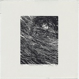 Artist: JAMES, C | Title: Unknown bird series | Date: 1988 | Technique: woodblock, printed in black ink, from one black ink