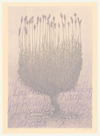 Artist: b'Johnstone, Ruth.' | Title: b'Lavender for remaining chaste' | Date: 1998, August | Technique: b'lithograph, printed in colour, from two stones' Artist: b'Johnstone, Ruth.' | Title: b'Lavender for remaining chaste' | Date: 1998, August | Technique: b'lithograph, printed in colour, from two stones'