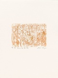 Artist: MEYER, Bill | Title: Forest by Har Nof | Date: 1992 | Technique: etching and roulette drypoint, printed in brown ink a la poupée, from one zinc plate | Copyright: © Bill Meyer
