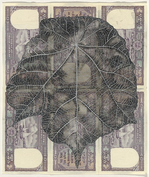 Artist: b'HALL, Fiona' | Title: b'Pterospermum acerifolium - Maple-leaved bayur (Indian currency)' | Date: 2000 - 2002 | Technique: b'gouache' | Copyright: b'\xc2\xa9 Fiona Hall' Artist: b'HALL, Fiona' | Title: b'Pterospermum acerifolium - Maple-leaved bayur (Indian currency)' | Date: 2000 - 2002 | Technique: b'gouache' | Copyright: b'\xc2\xa9 Fiona Hall'