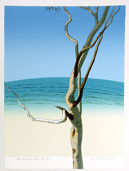 Artist: b'Rose, David.' | Title: b'Eucalypt - Bateau Bay II' | Date: 1976 | Technique: b'screenprint, printed in colour, from multiple stencils' Artist: b'Rose, David.' | Title: b'Eucalypt - Bateau Bay II' | Date: 1976 | Technique: b'screenprint, printed in colour, from multiple stencils'