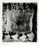 Artist: b'Shearer, Mitzi.' | Title: b'Variation on a theme' | Date: 1978 | Technique: b'etching, printed in black ink, from one  plate'