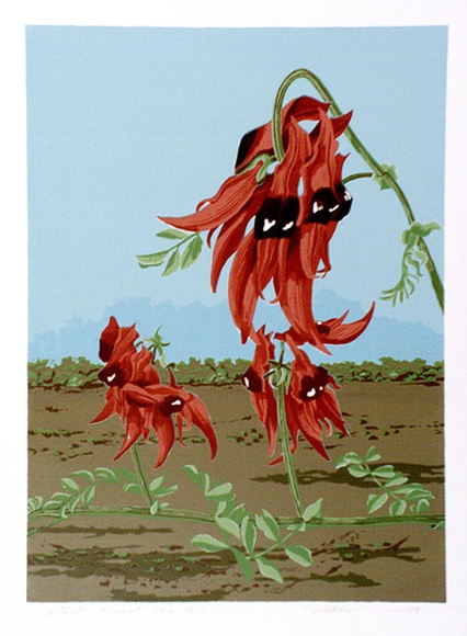 Artist: b'letcher, William.' | Title: b'Sturt Desert Pea.' | Date: 1979 | Technique: b'screenprint, printed in colour, from multiple stencils' | Copyright: b'With the permission of The William Fletcher Trust which provides assistance to young artists.' Artist: b'letcher, William.' | Title: b'Sturt Desert Pea.' | Date: 1979 | Technique: b'screenprint, printed in colour, from multiple stencils' | Copyright: b'With the permission of The William Fletcher Trust which provides assistance to young artists.'