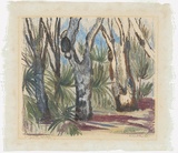 Artist: PRESTON, Margaret | Title: Northern Territory gums, etc. | Date: 1946 | Technique: monotype, printed in colour, from one masonite sheet | Copyright: © Margaret Preston. Licensed by VISCOPY, Australia