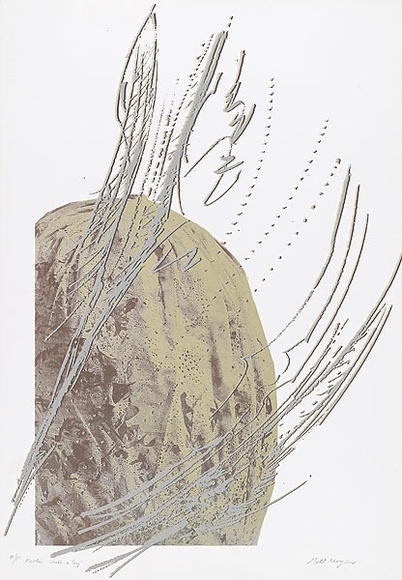 Artist: b'MEYER, Bill' | Title: b'Fallen strata in grey' | Date: 1986 | Technique: b'screenprint, printed in five colours, from two duotone screens and one hand drawn with charcoal on acetate for indirect photo screen' | Copyright: b'\xc2\xa9 Bill Meyer' Artist: b'MEYER, Bill' | Title: b'Fallen strata in grey' | Date: 1986 | Technique: b'screenprint, printed in five colours, from two duotone screens and one hand drawn with charcoal on acetate for indirect photo screen' | Copyright: b'\xc2\xa9 Bill Meyer'
