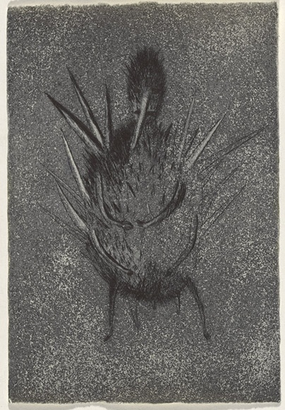 Artist: b'Uhlmann, Paul.' | Title: b'New Insecta Queensland by A A Girault.' | Date: 1989 | Technique: b'etching' Artist: b'Uhlmann, Paul.' | Title: b'New Insecta Queensland by A A Girault.' | Date: 1989 | Technique: b'etching'