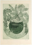 Artist: b'GRIFFITH, Pamela' | Title: b'Boston fern' | Date: 1978 | Technique: b'etching, softground, aquatint, sugarlift printed in green ink, from one zinc plate' | Copyright: b'\xc2\xa9 Pamela Griffith'