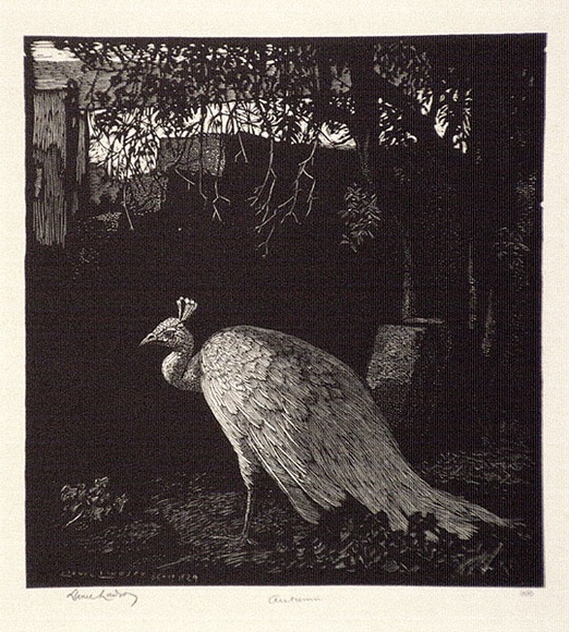 Artist: b'LINDSAY, Lionel' | Title: b'Autumn' | Date: 1924 | Technique: b'wood-engraving, printed in black ink, from one block' | Copyright: b'Courtesy of the National Library of Australia' Artist: b'LINDSAY, Lionel' | Title: b'Autumn' | Date: 1924 | Technique: b'wood-engraving, printed in black ink, from one block' | Copyright: b'Courtesy of the National Library of Australia'