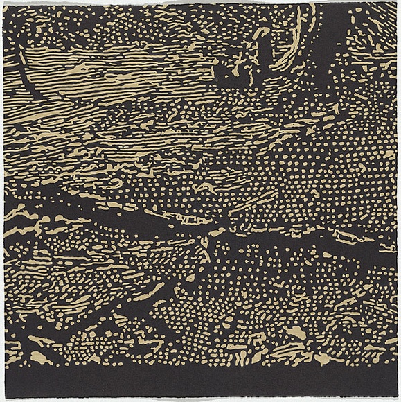Artist: b'Bryant, Darren' | Title: bTravellers' tales. | Date: 1998 | Technique: b'linocut, printed in colour ink, with blind embossing, from seven plates' Artist: b'Bryant, Darren' | Title: bTravellers' tales. | Date: 1998 | Technique: b'linocut, printed in colour ink, with blind embossing, from seven plates'