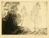 Artist: Finlay, Ernest. | Title: (Trees). | Date: c.1925 | Technique: drypoint, printed in brown ink with plate-tone, from one plate