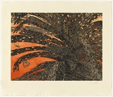 Title: Pandanus  Gunga | Date: 2010 | Technique: etching