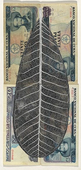 Artist: b'HALL, Fiona' | Title: b'Plumeria obtusa - Frangipani (Indian currency)' | Date: 2000 - 2002 | Technique: b'gouache' | Copyright: b'\xc2\xa9 Fiona Hall' Artist: b'HALL, Fiona' | Title: b'Plumeria obtusa - Frangipani (Indian currency)' | Date: 2000 - 2002 | Technique: b'gouache' | Copyright: b'\xc2\xa9 Fiona Hall'