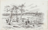 Artist: GILL, S.T. | Title: [goldrush view] | Date: 1855-56 | Technique: lithograph, printed in black ink, from one stone