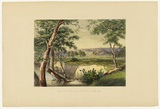 Artist: Angas, George French. | Title: The city of Adelaide from the Torrens near the reed beds. | Date: 1846-47 | Technique: lithograph, printed in colour, from multiple stones; varnish highlights by brush