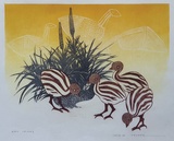 Artist: Thorpe, Lesbia. | Title: Emu chicks.