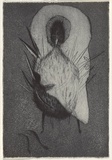 Artist: Uhlmann, Paul. | Title: New Insecta Queensland by A A Girault. | Date: 1989 | Technique: etching