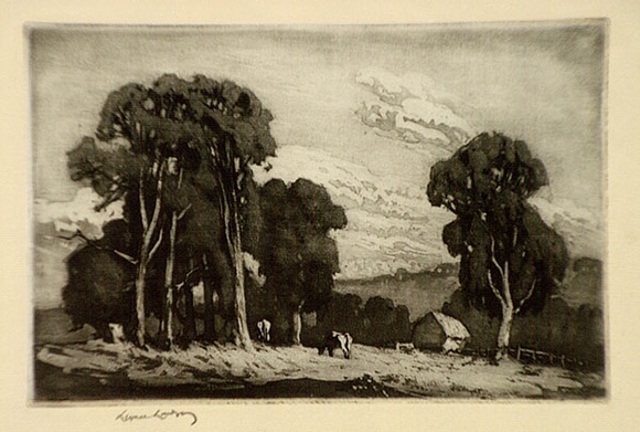Artist: b'LINDSAY, Lionel' | Title: bIn Heysen's country | Date: 1921 | Technique: b'etching, aquatint and burnishing, printed in black ink, from one plate' | Copyright: b'Courtesy of the National Library of Australia' Artist: b'LINDSAY, Lionel' | Title: bIn Heysen's country | Date: 1921 | Technique: b'etching, aquatint and burnishing, printed in black ink, from one plate' | Copyright: b'Courtesy of the National Library of Australia'