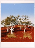 Artist: b'Rose, David.' | Title: b'On the road to Kajabbi' | Date: 1989 | Technique: b'screenprint, printed in colour, from multiple stencils'