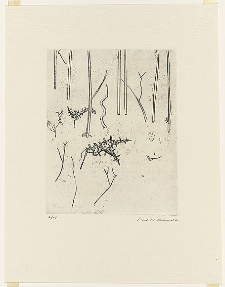 Artist: b'WILLIAMS, Fred' | Title: b'Acacias. Number 2' | Date: 1973-74 | Technique: b'etching, rough biting, engraving and electric hand engraving, printed in black ink, from one zinc plate' | Copyright: b'\xc2\xa9 Fred Williams Estate' Artist: b'WILLIAMS, Fred' | Title: b'Acacias. Number 2' | Date: 1973-74 | Technique: b'etching, rough biting, engraving and electric hand engraving, printed in black ink, from one zinc plate' | Copyright: b'\xc2\xa9 Fred Williams Estate'
