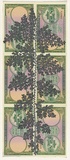 Artist: HALL, Fiona | Title: Selaginella willdenovii - Peacock fern (Vietnamese currency) | Date: 2000 - 2002 | Technique: gouache | Copyright: © Fiona Hall