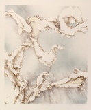 Artist: RICHARDSON, Berris | Title: Sea change | Date: 1975 | Technique: lithograph, printed in colour, from three stones [or plates]