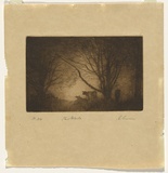 Artist: GRUNER, Elioth | Title: The glade | Date: 1919 | Technique: drypoint, printed in brown ink with plate-tone, from one plate