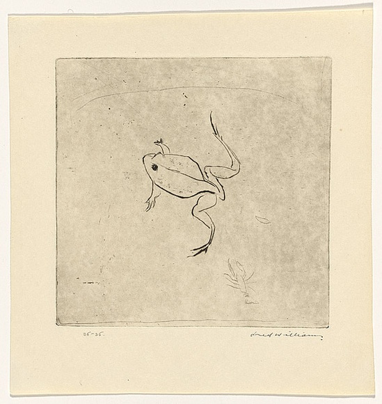 Artist: b'WILLIAMS, Fred' | Title: b'Frog' | Date: 1966 | Technique: b'drypoint, printed in black ink, from one copper plate' | Copyright: b'\xc2\xa9 Fred Williams Estate' Artist: b'WILLIAMS, Fred' | Title: b'Frog' | Date: 1966 | Technique: b'drypoint, printed in black ink, from one copper plate' | Copyright: b'\xc2\xa9 Fred Williams Estate'
