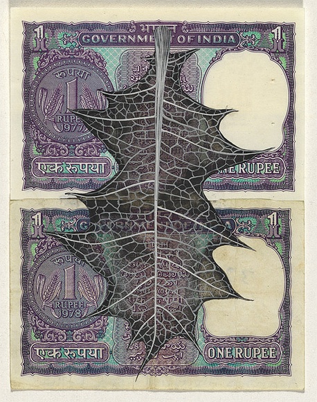 Artist: b'HALL, Fiona' | Title: b'Acanthus ilicifolius - Sea holly (Indian currency)' | Date: 2000 - 2002 | Technique: b'gouache' | Copyright: b'\xc2\xa9 Fiona Hall' Artist: b'HALL, Fiona' | Title: b'Acanthus ilicifolius - Sea holly (Indian currency)' | Date: 2000 - 2002 | Technique: b'gouache' | Copyright: b'\xc2\xa9 Fiona Hall'