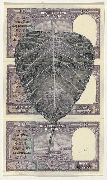 Artist: b'HALL, Fiona' | Title: b'Ficus religiosa - Bo tree (Indian currency)' | Date: 2000 - 2002 | Technique: b'gouache' | Copyright: b'\xc2\xa9 Fiona Hall' Artist: b'HALL, Fiona' | Title: b'Ficus religiosa - Bo tree (Indian currency)' | Date: 2000 - 2002 | Technique: b'gouache' | Copyright: b'\xc2\xa9 Fiona Hall'