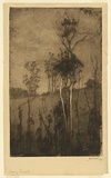 Artist: b'Traill, Jessie.' | Title: b'Evening, Emerald.' | Date: 1911 | Technique: b'etching, drypoint and foul biting, printed in black ink with plate-tone and wiped highlights, from one plate'