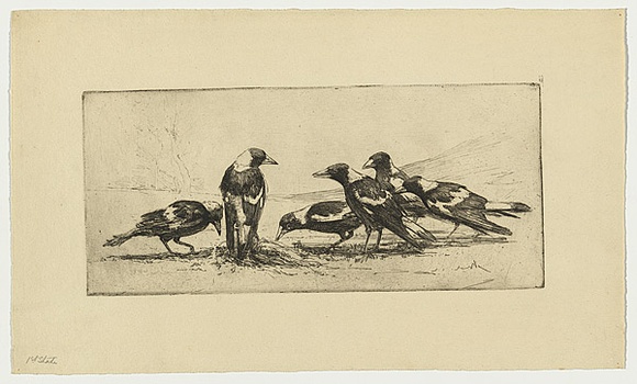 Artist: b'Long, Sydney.' | Title: b'Magpies' | Date: 1920 | Technique: b'line-etching and drypoint, printed in black ink, from one copper plate' | Copyright: b'Reproduced with the kind permission of the Ophthalmic Research Institute of Australia' Artist: b'Long, Sydney.' | Title: b'Magpies' | Date: 1920 | Technique: b'line-etching and drypoint, printed in black ink, from one copper plate' | Copyright: b'Reproduced with the kind permission of the Ophthalmic Research Institute of Australia'