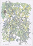 Artist: MEYER, Bill | Title: Bush study silver | Date: 1987 | Technique: screenprint, printed in colour, from multiple stencils | Copyright: © Bill Meyer