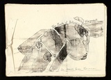 Artist: b'Wight, Normana.' | Title: b'Bitzer Fragments.' | Date: 1990