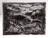Artist: b'Shearer, Mitzi.' | Title: b'Curious eyes' | Date: 1981 | Technique: b'etching, printed in black ink, from one  plate'